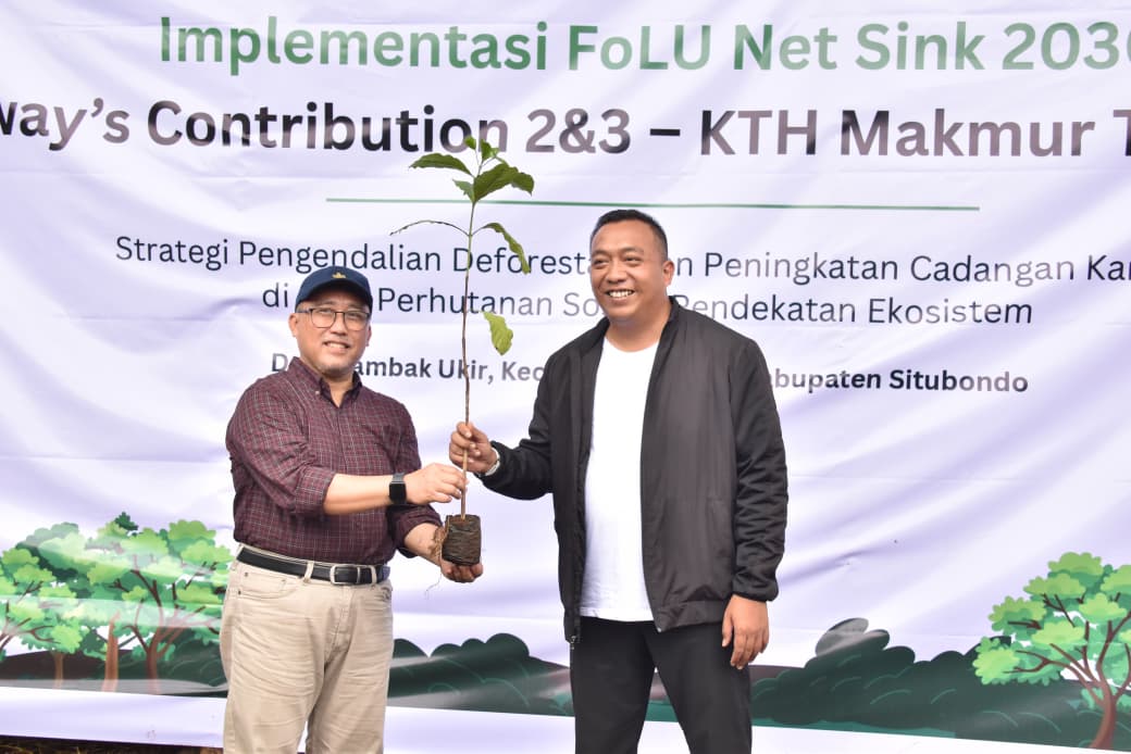 Pemkab Situbondo dan IPB Kolaborasi Tanam Puluhan Ribu Tanaman di Hutan Tambak Ukir